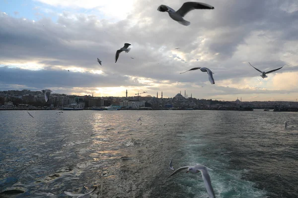 Viaje Barco Por Cuerno Oro Estambul Turquía Diciembre 2021 — Foto de Stock