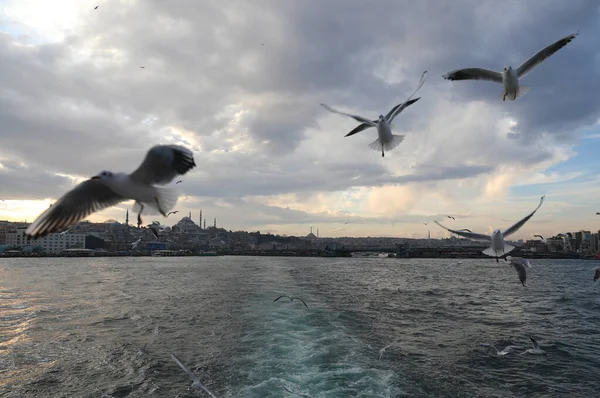 Viagem Barco Longo Chifre Ouro Istambul Turquia Dezembro 2021 — Fotografia de Stock