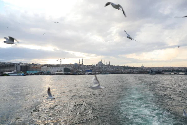 Viagem Barco Longo Chifre Ouro Istambul Turquia Dezembro 2021 — Fotografia de Stock