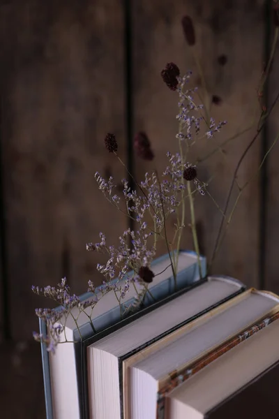 Fleurs Séchées Entre Les Livres Sur Vieux Fond Bois — Photo