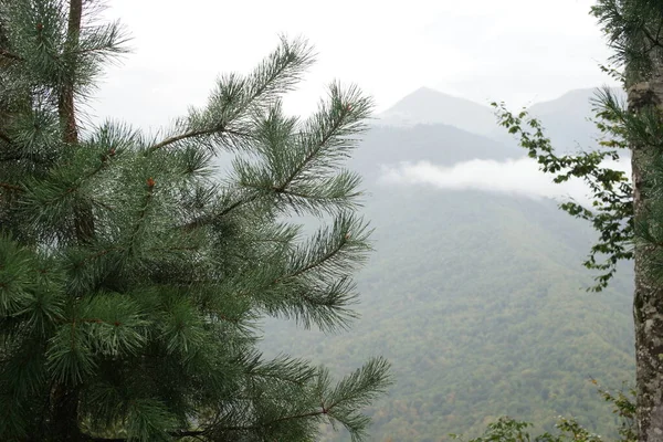 Paisaje Montaña Rosa Khutor Krasnaya Polyana Rusia Sochi Otoño 2021 — Foto de Stock