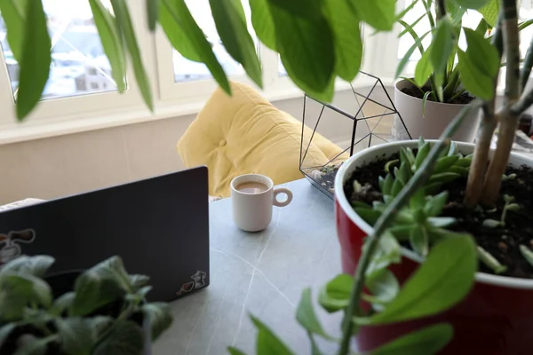 Morning Coffee Desktop Computer — Stock Photo, Image