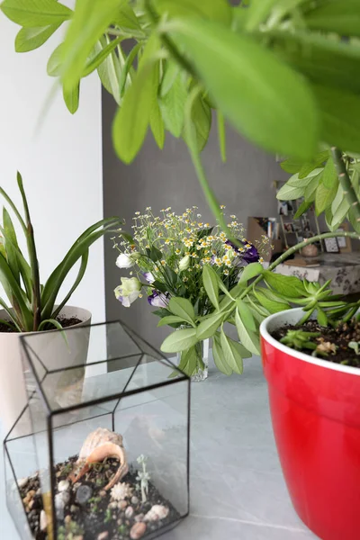 Bouquet Dengan Aster Kecil Dan Biru Eustoma Ungu Interior — Stok Foto