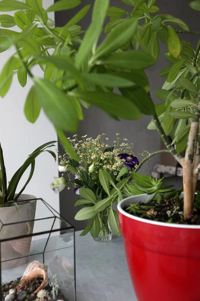 Bouquet Dengan Aster Kecil Dan Biru Eustoma Ungu Interior — Stok Foto