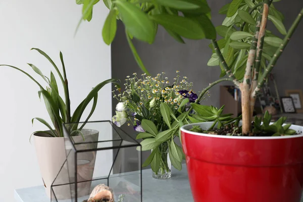 Bouquet Mit Kleinen Gänseblümchen Und Blaulila Eustoma Inneren — Stockfoto