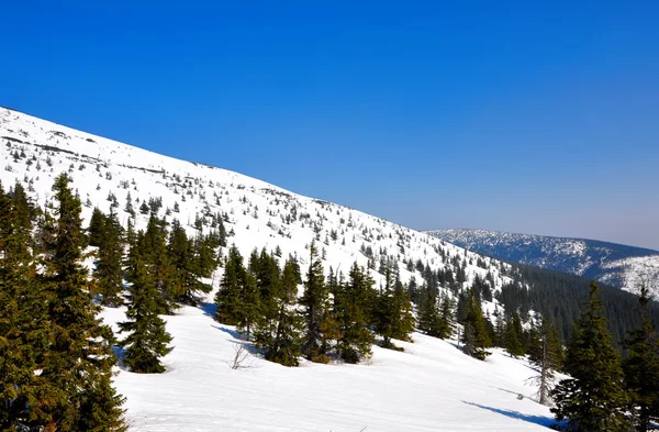 Nieve colina — Foto de Stock