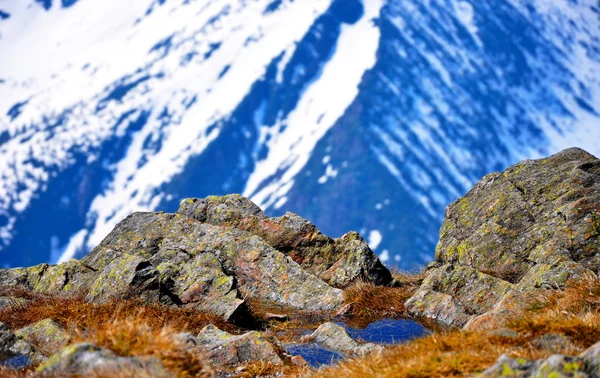 Schneehügel — Stockfoto