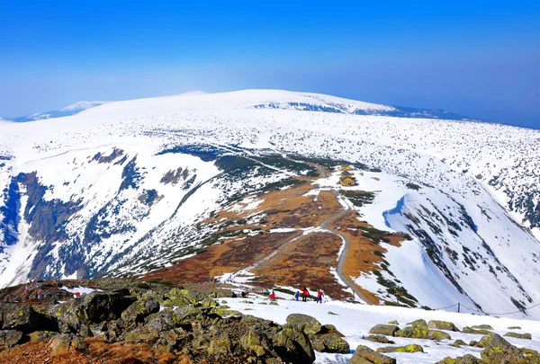 Nieve colina — Foto de Stock