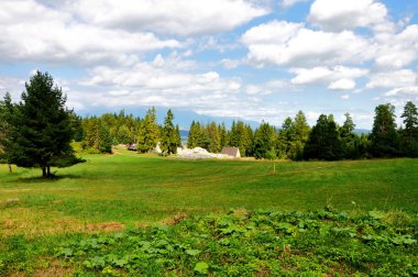 Güzellik doğa kalıntıları ile
