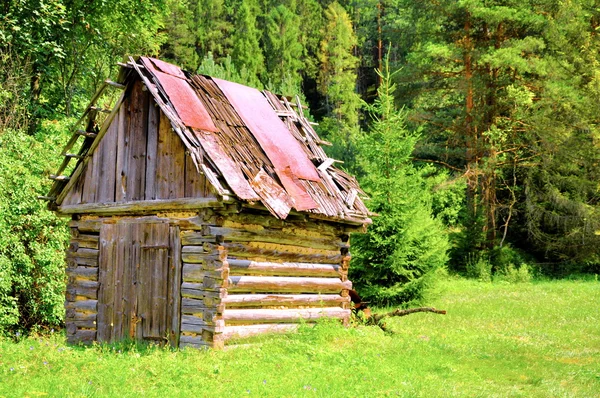Alte Holzhütte — Stockfoto