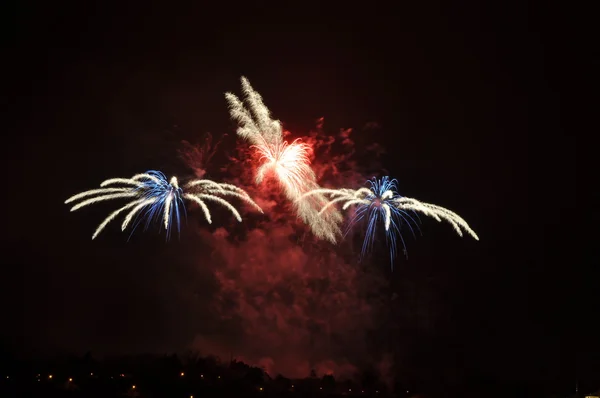 Firework — Stock Photo, Image