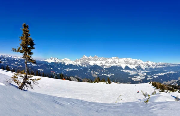 Panorama dos Alpes — Fotografia de Stock