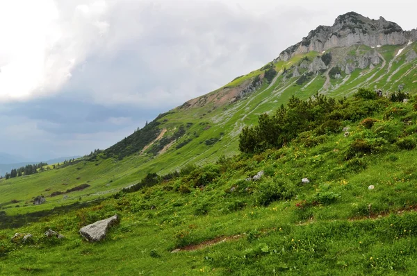 Alpes naturaleza — Foto de Stock