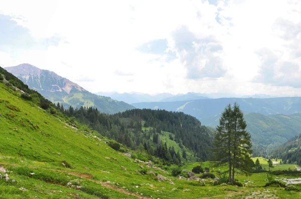 Alpes naturaleza — Foto de Stock