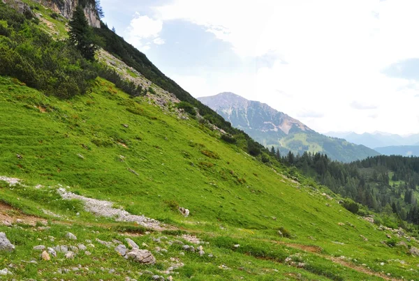 Alpes naturaleza — Foto de Stock