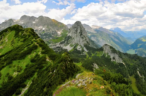 Alpes naturaleza — Foto de Stock