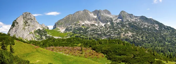 Alppien luonne — kuvapankkivalokuva