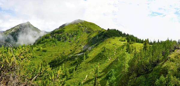 Alpi natura — Foto Stock