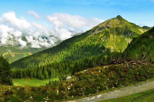 Alperna landskap — Stockfoto