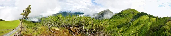 Natureza dos Alpes — Fotografia de Stock