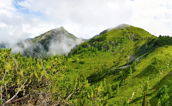 Alperna natur — Stockfoto