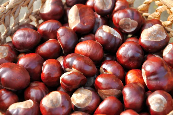 Chestnuts in the basket — Stock Photo, Image