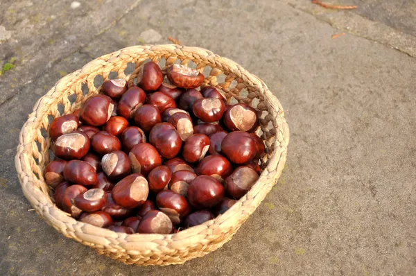 Chestnuts in the basket — Stock Photo, Image