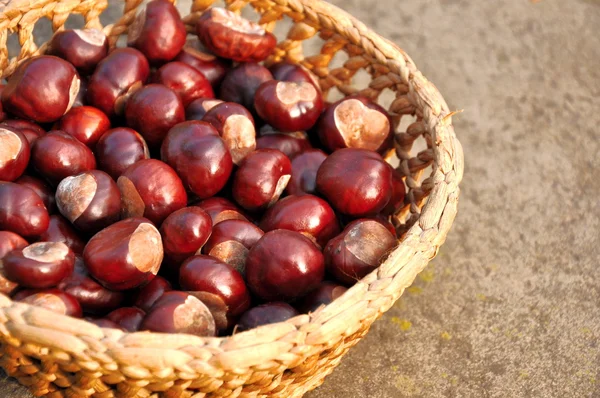 Chestnuts in the basket — Stock Photo, Image