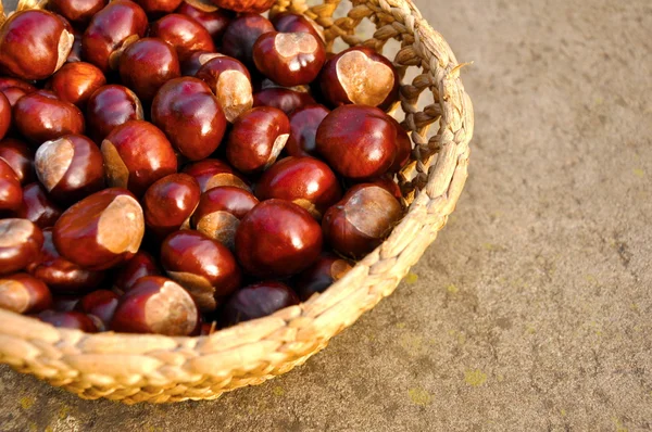 Chestnuts in the basket — Stock Photo, Image