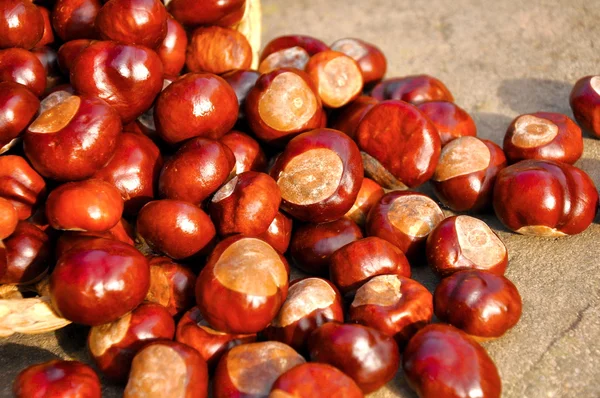 Chestnuts in the basket — Stock Photo, Image