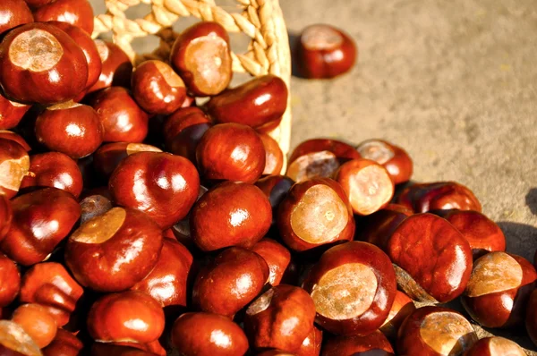 Chestnuts in the basket — Stock Photo, Image