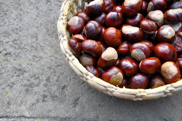 Chestnuts in the basket — Stock Photo, Image
