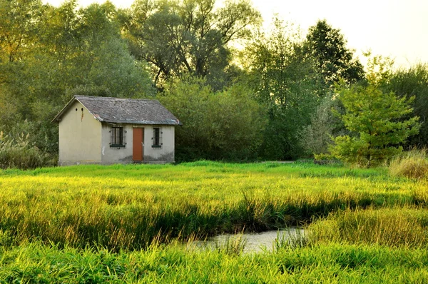 Casa cerca del prado — Foto de Stock