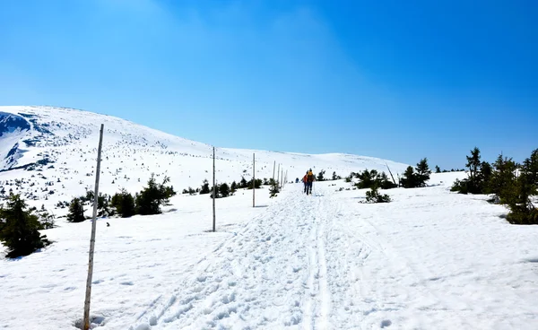 Neve caminho colina — Fotografia de Stock