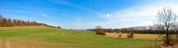 Panorama veld — Stockfoto