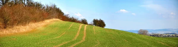 Campo panorâmico — Fotografia de Stock