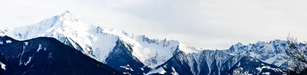 Winter panorama — Stock Photo, Image