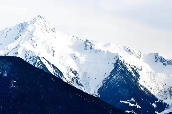 Panorama de iarnă — Fotografie, imagine de stoc