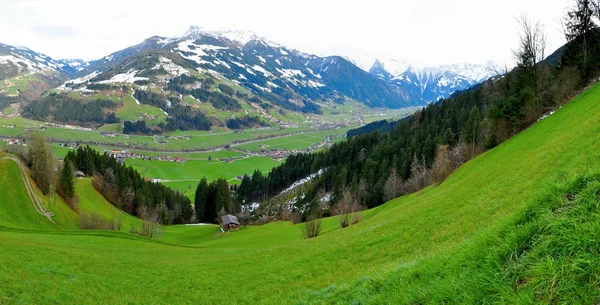 Панорама Альп — стоковое фото