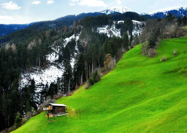 Панорама Альп — стоковое фото