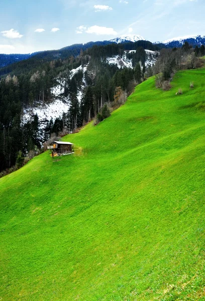 Alperna panorama — Stockfoto