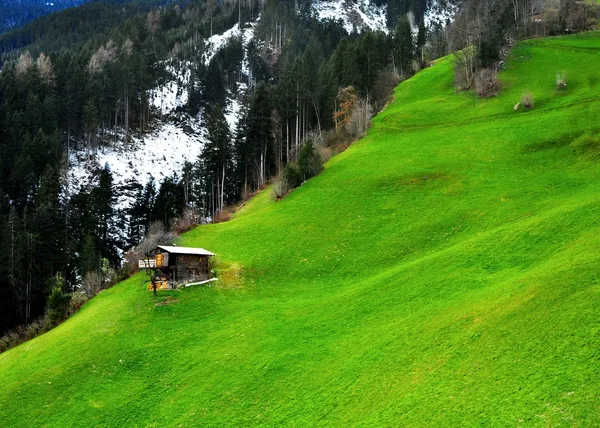 Alpenpanorama — Stockfoto