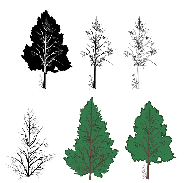 Árboles vectoriales — Vector de stock