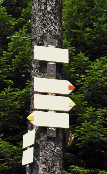 Close up of signpost — Stock Photo, Image