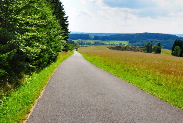 Road in nature — Stock Photo, Image