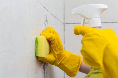 Fayans duvarını sünger ve spreyle temizliyorum..