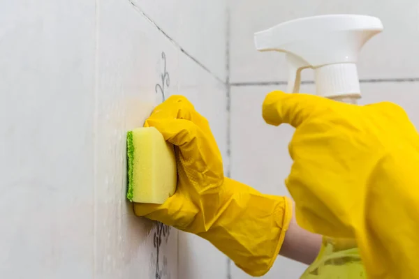 Cleaning Tile Wall Sponge Spray Stock Photo