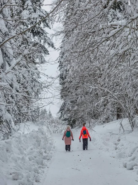 Two Girls Walking Snowy Road Winter Forest Healthy Lifestyle — стоковое фото