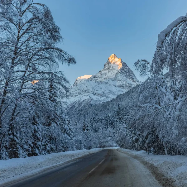 Winter Paved Road Forest Leading High Mountains — Stock Photo, Image