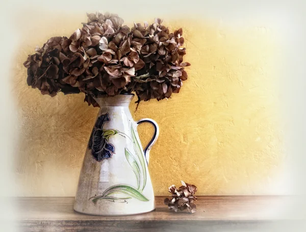 Vase mit getrockneten Hortensien — Stockfoto